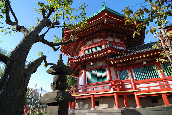 shutterstock_58472383