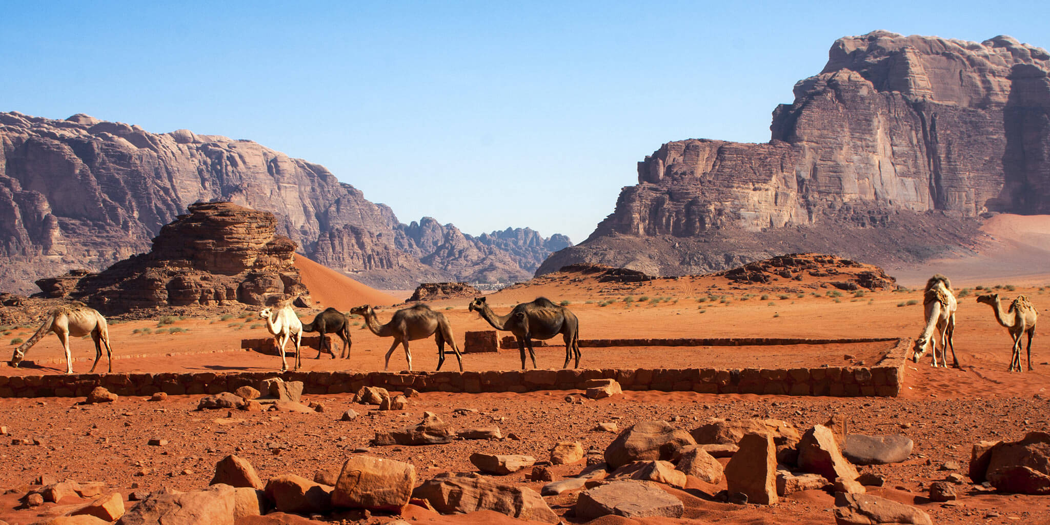 Study Arabic in Jordan ESL