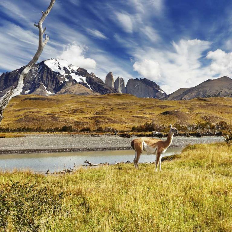 ESL Chile language stay