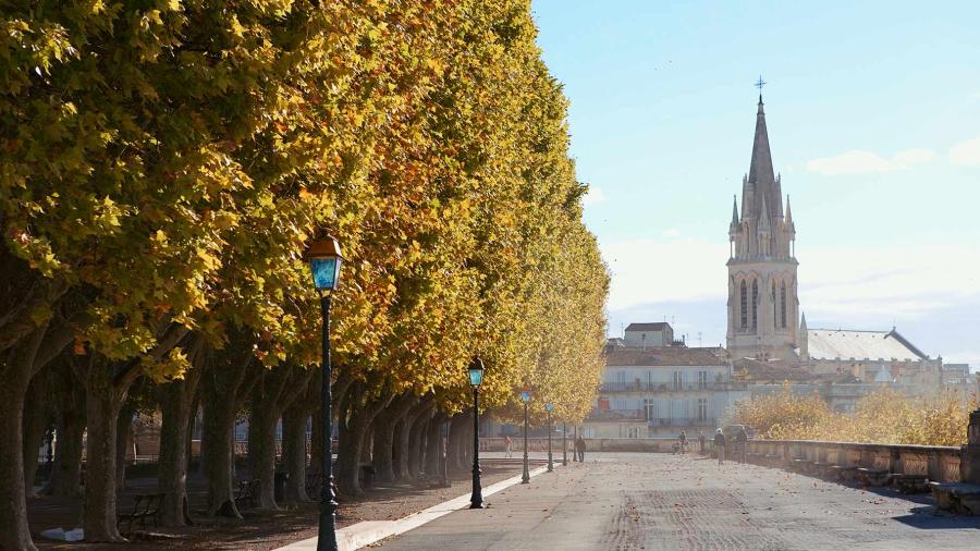 Learn French in France  French language school in Montpellier